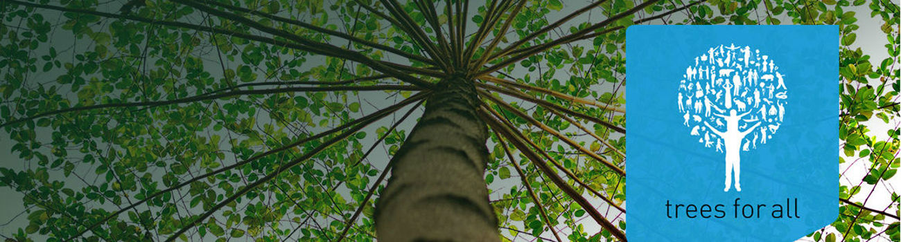 Trees For All